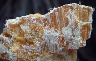 What is Amosite-Asbestos-TOTAL Asbestos