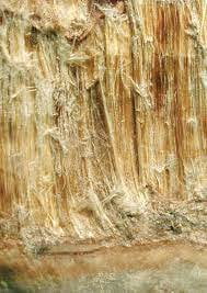 Amosite-Asbestos - Total Asbestos